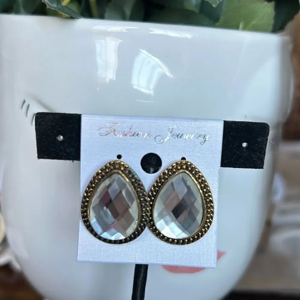 Fashion Jewelry Oval size earrings nickel free NWT with dust bag
